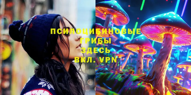 хочу   Задонск  Галлюциногенные грибы Magic Shrooms 